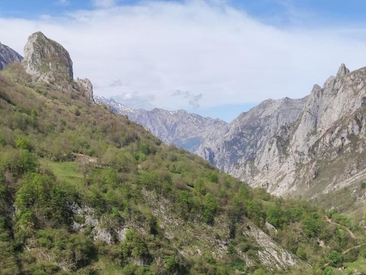 La Casina De Tielve De Cabrales Dentro Del Parque Nacional Picos De Europa Villa Kültér fotó